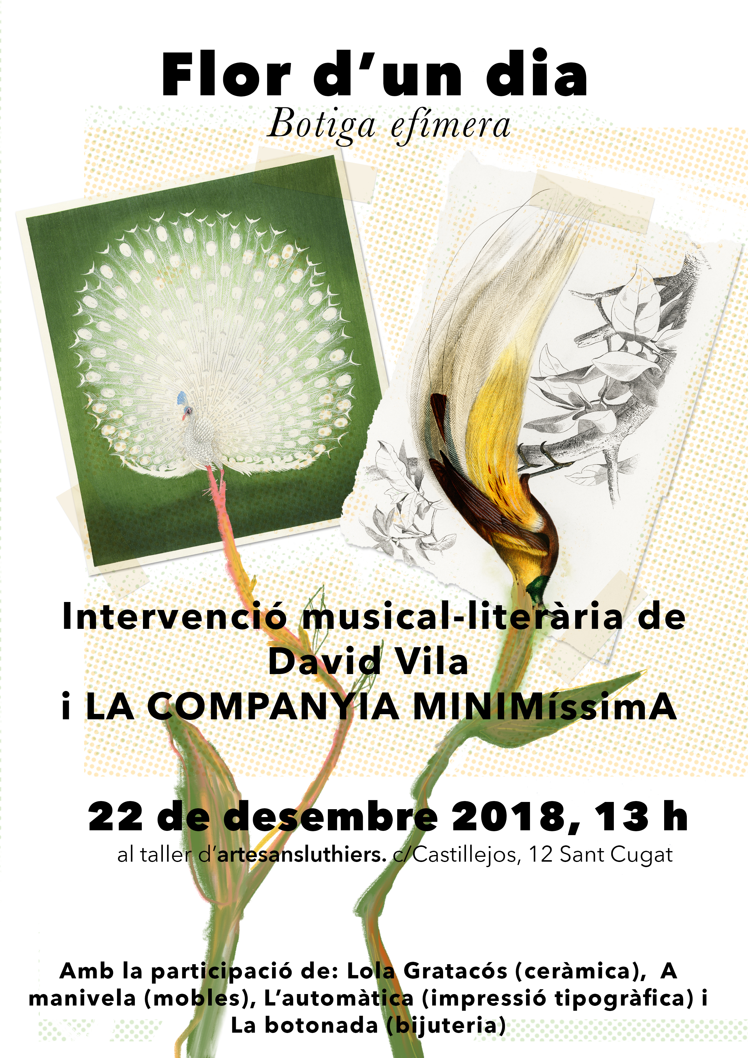 cartell minimissimaflor